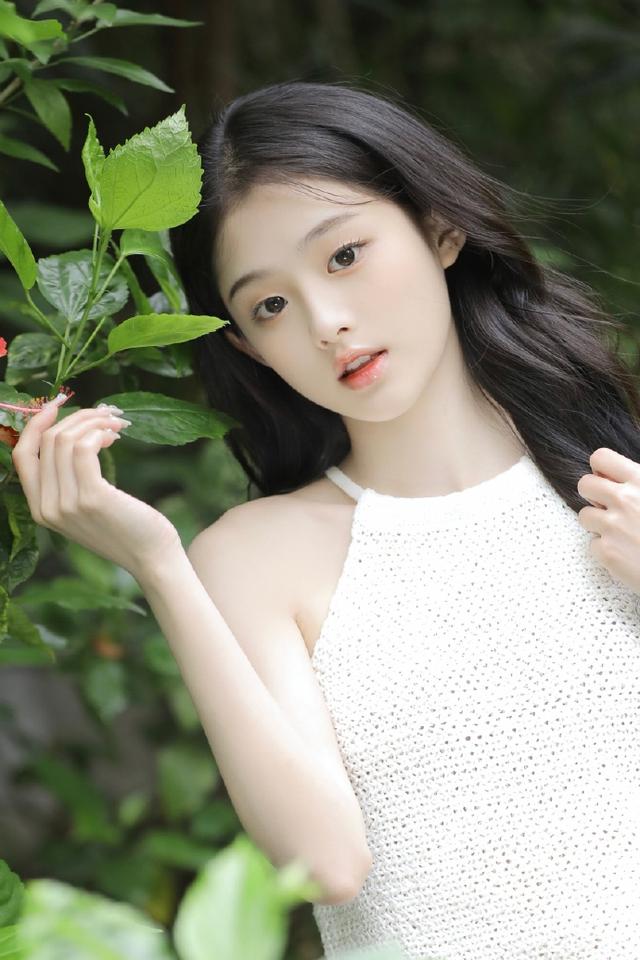 观影指南